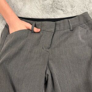 Express design studio pants